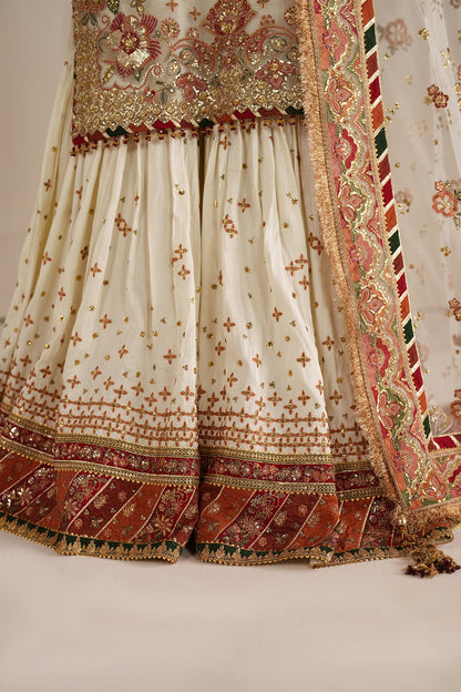 High-fashion Pakistani ethnic wear featuring intricate net fabric and traditional embroidery details