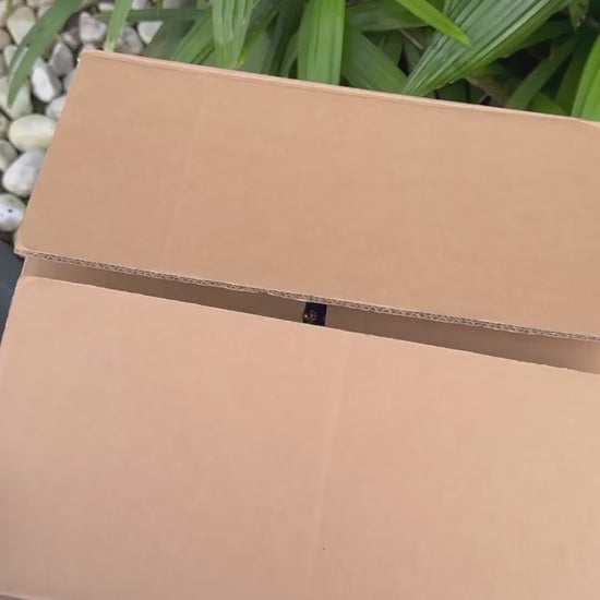 Haseens Official Heera cobalt blue unboxing video, showcasing intricate embroidery and stitched components